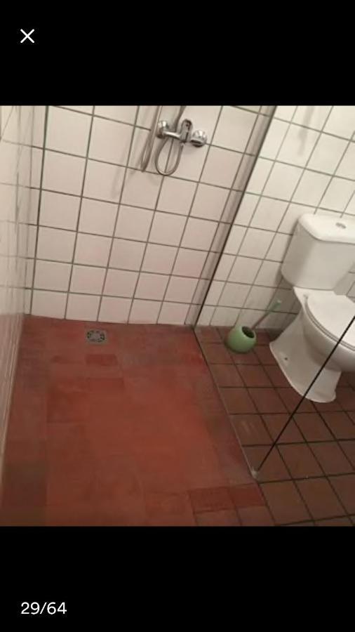 הורטה Adega Guest House מראה חיצוני תמונה