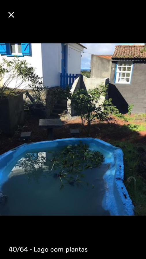 הורטה Adega Guest House מראה חיצוני תמונה